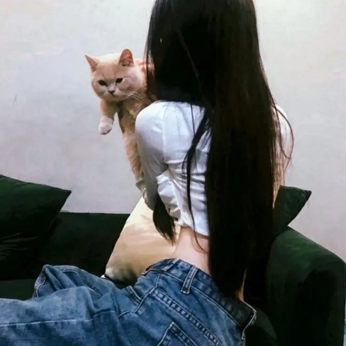 小甜饼