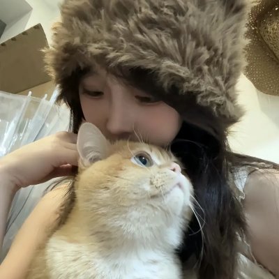 鳄鱼先生